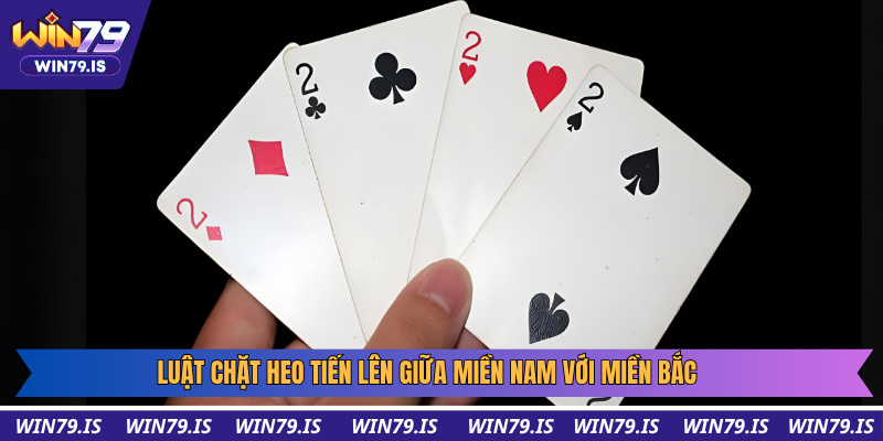 Sự khác biệt giữa miền Nam và miền Bắc trong luật chặt heo tiến lên