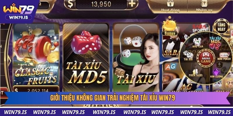 Giới thiệu không gian trải nghiệm tài xỉu win79
